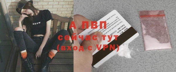 Альфа ПВП Беломорск