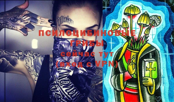 марки lsd Белокуриха