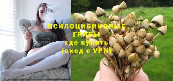 Альфа ПВП Беломорск